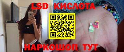 мяу мяу мука Краснознаменск