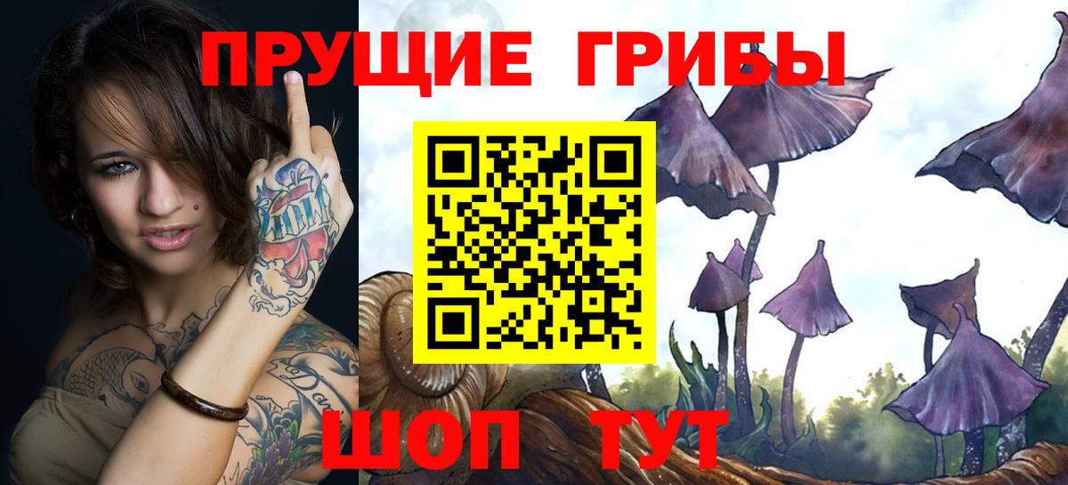 Кострома  Псилоцибиновые грибы мухоморы  Вход с VPN  Псилоцибиновые грибы Psilocybe 